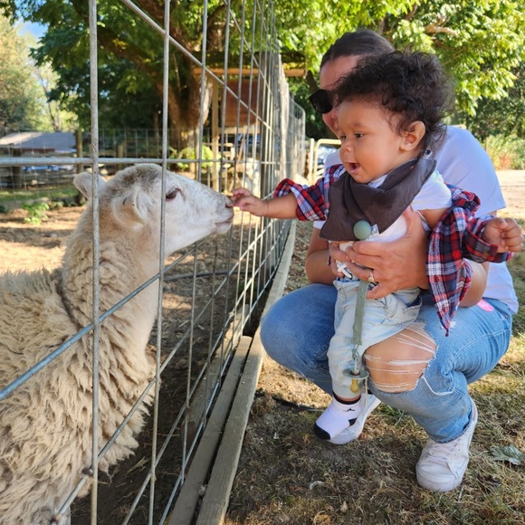 BP. Reversible bomber jacket - Picture 4 of 9